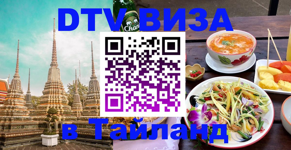 Оформление DTV визы под ключ: стоимость и тарифы, только загранпаспорт - 